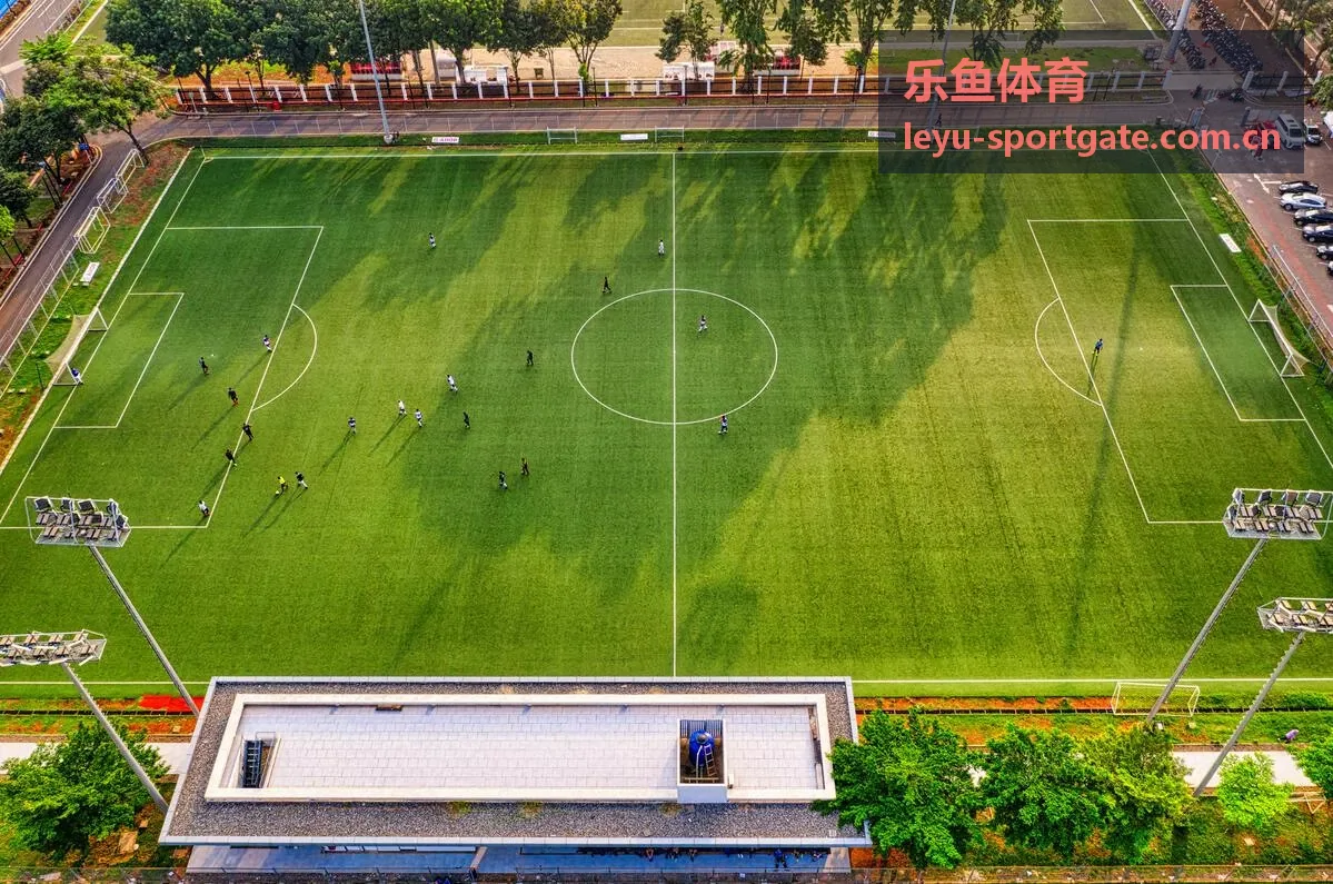 乐鱼体育欧冠热门联赛资料图